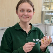 Vorliebe für Pudel und Chinchillas